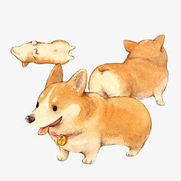 柯基犬不同动态手绘画