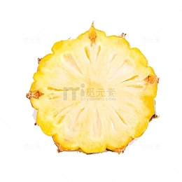 菠萝片素材