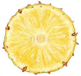 菠萝的切片免抠素材