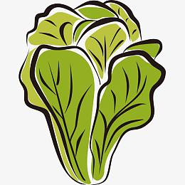 手绘 简笔画 蔬果 蔬菜 果蔬 卡通