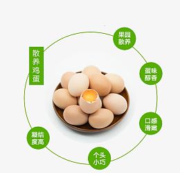 土鸡蛋特点标语素材