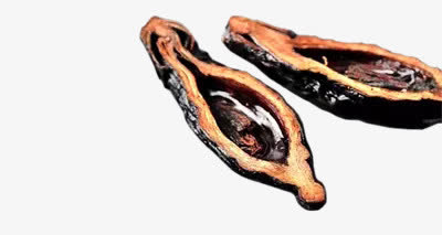 两片槟榔素材免费下载_觅元素