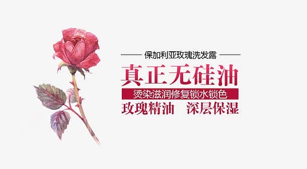 真正无硅油