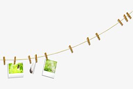 夹子夹住的小清新照片