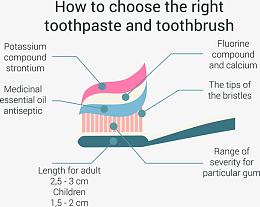如何选择合适的牙膏信息图表矢量