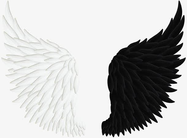 黑白对比翅膀