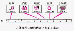 人体对比ph