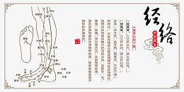 中医经络养生海报素材