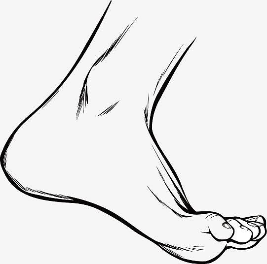 人体脚部素描矢量图片