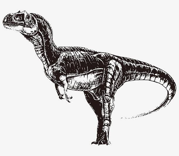 黑白手绘远古恐龙