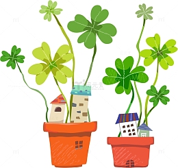 四叶草盆栽