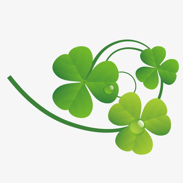 绿色幸运四叶草装饰