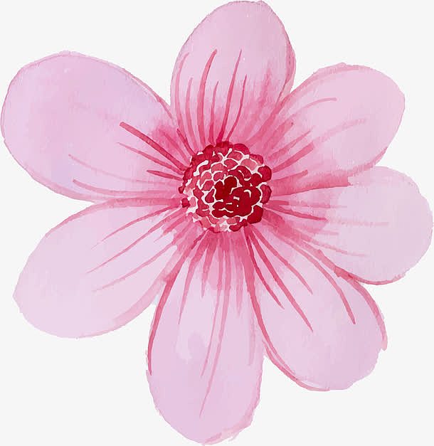 粉色水墨花卉图案
