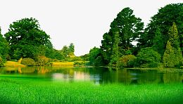 湖水绿草树木绿色风景