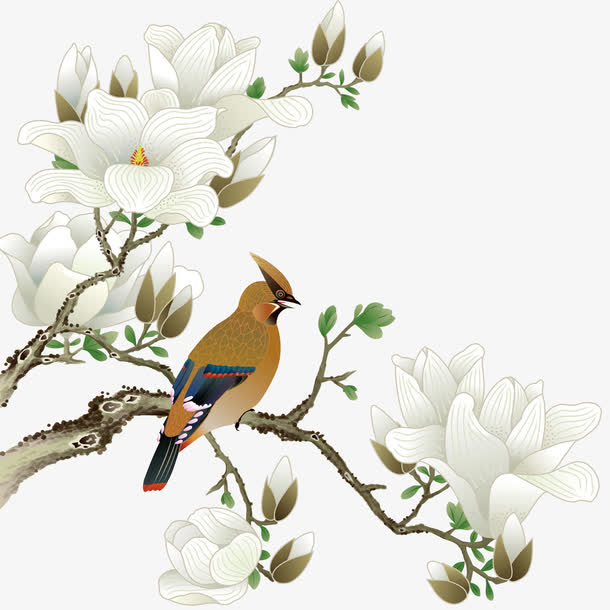 关键词 : 鍠滈箠,鑺辨湹,鐧借壊,鏍戞灊[声明] 觅元素所有素材为用户