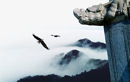 雄鹰展翅