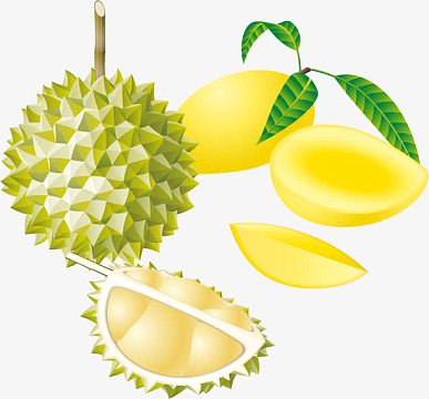 榴莲芒果png矢量素材