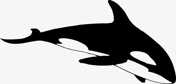 鲸鱼黑白花臂图案aipng可爱鲸鱼黑白插画png跳出水的鲸鱼png鲸鱼png大