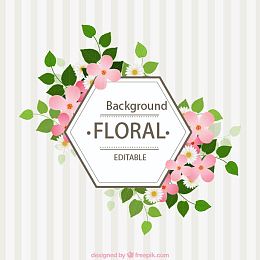 标签 雏菊 花 花瓣 几何 几何图形