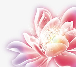 花 炫光花 花卉 星光 中秋海报