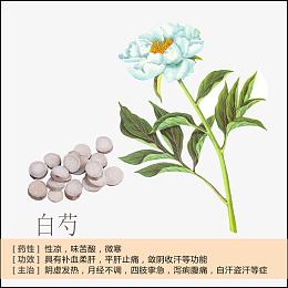 白芍简介