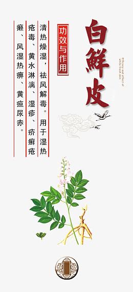 白鲜皮图片