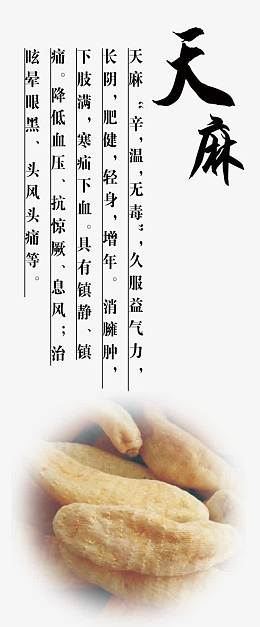 中医养生宣传