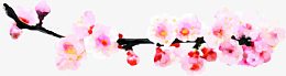 粉色鲜花花朵梅花美景