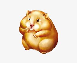 圆圆的小松鼠素材图片
