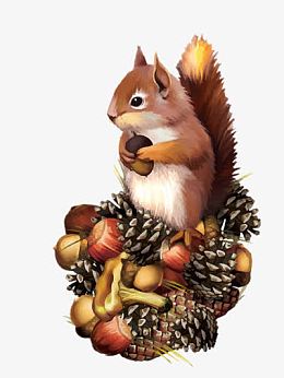 松果松鼠素材_松果松鼠png图片下载_觅元素