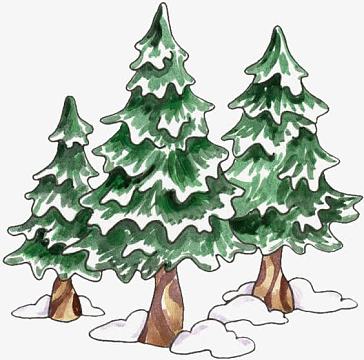 水彩松树(564x558)png卡通松鼠和松果(520x491)png冬日圣诞节褐色松果