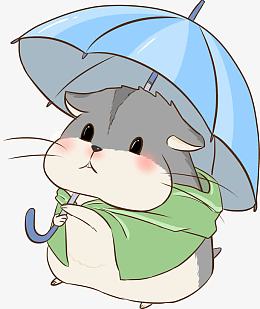 仰望的松鼠
