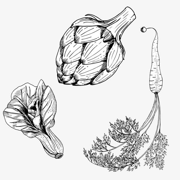 线绘蔬菜免抠素材免费下载_觅元素51yuansu.com