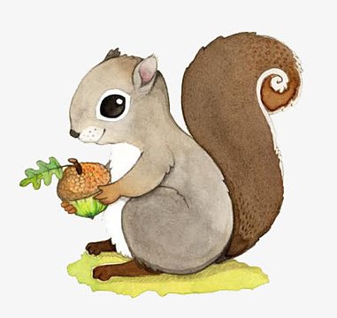 卡通松鼠和松果