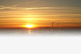 金色夕阳天空