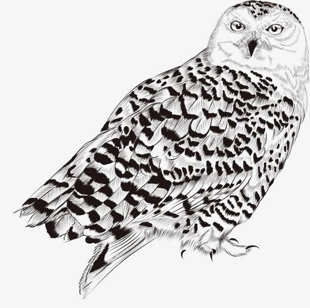 关键词 : 缇芥瘺,椋為笩,楦熺被,鐢熷懡[声明] 觅元素所有素材为用户