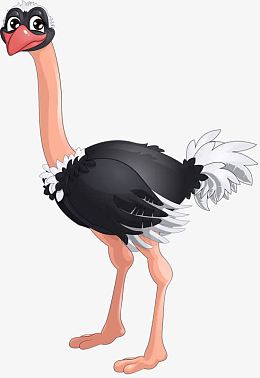 观望鸵鸟