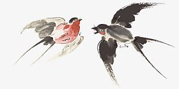 装饰的燕子