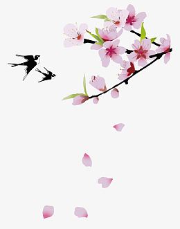 燕子和桃花矢量