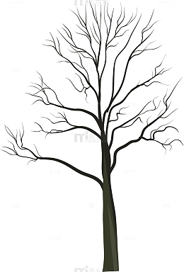 手绘枯树