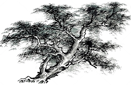 手绘水墨松树