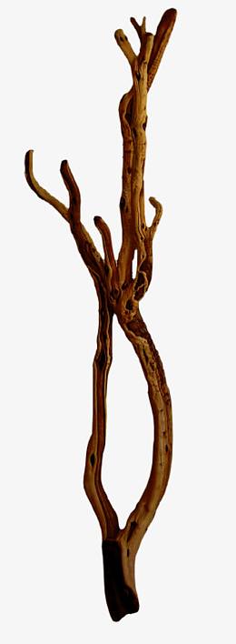 干枯树干素材免抠