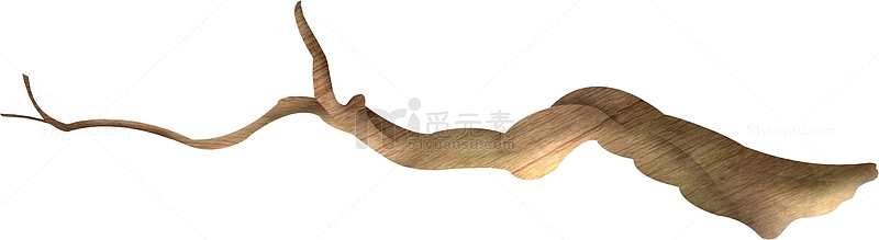 棕色漂亮树枝