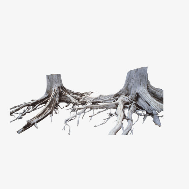 树干枯木朽木免抠素材免费下载_觅元素51yuansu.com