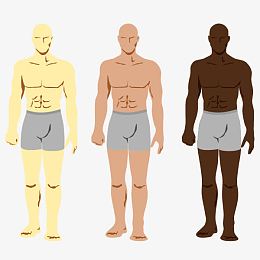 矢量肌肉男士腹部腹肌