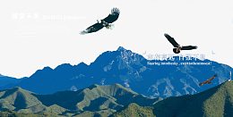 志存高远老鹰山峰免费图片