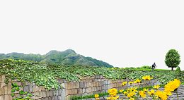 藤蔓围墙免抠素材