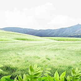 绿草地元素下载