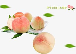 水蜜桃素材