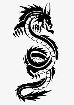 一条黑龙